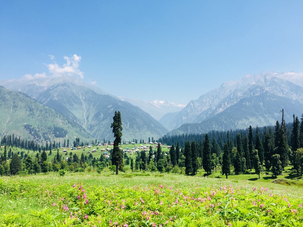 Breathtaking view of Arang Kel with lush meadows, pine trees, and mountains under a clear blue sky.
