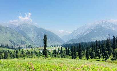 Breathtaking view of Arang Kel with lush meadows, pine trees, and mountains under a clear blue sky.