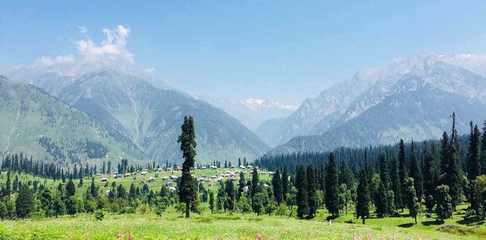 Breathtaking view of Arang Kel with lush meadows, pine trees, and mountains under a clear blue sky.
