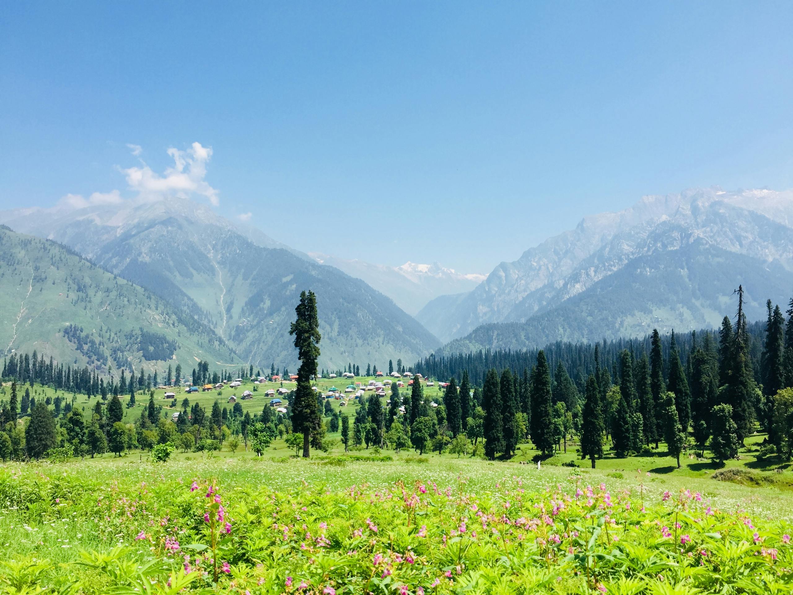 Breathtaking view of Arang Kel with lush meadows, pine trees, and mountains under a clear blue sky.