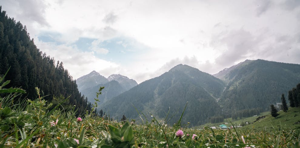 Explore the lush meadows and towering mountains of Pahalgam in spring.