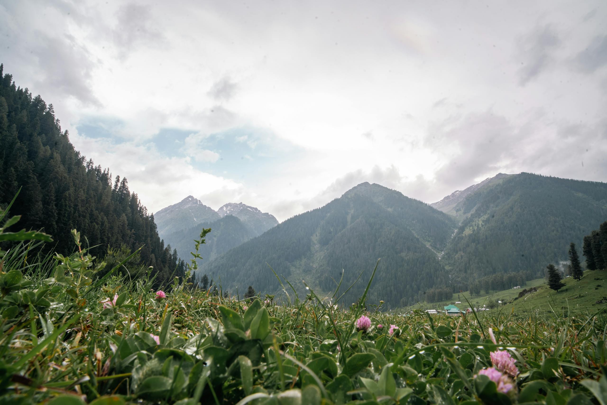 Explore the lush meadows and towering mountains of Pahalgam in spring.